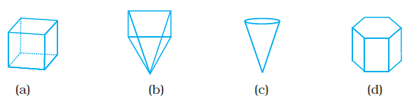 Page 181 Chapter 6 Class 8th NCERT Exemplar